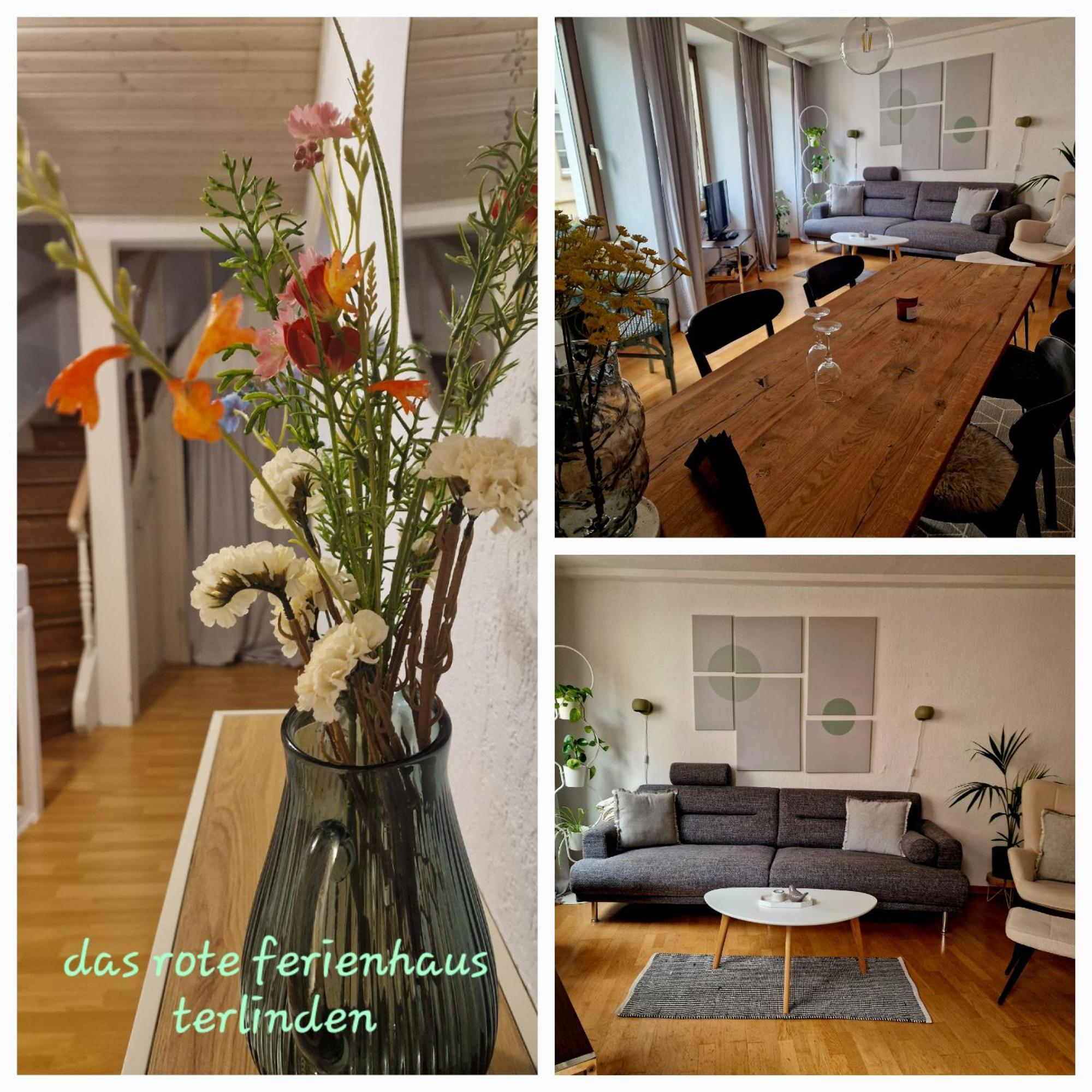 Das Rote Ferienhaus Terlinden Lieser Eksteriør billede